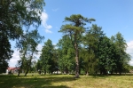 Без подписи