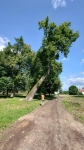 Без подписи
