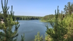 Без подписи