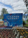 Без подписи