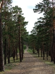 Без подписи