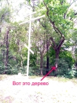 Тайник там