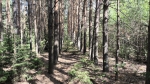 Без подписи
