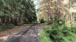 Без подписи