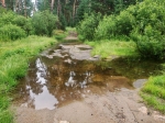 Без подписи
