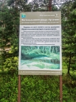 Без подписи