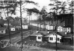 1931 год, посёлок для работников завода Красный богатырь, 5 шаг.