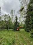 Ель