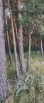 Без подписи