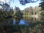 Без подписи