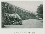 1909 год, парк Йылдыз