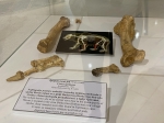 Без подписи