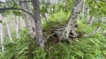 Тайник на Нижнем водопаде