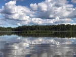 Без подписи
