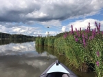 Без подписи