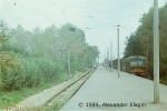 Станция Пирогово, 1989 год