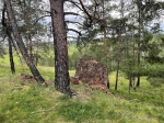 Без подписи
