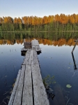 Красота рядом