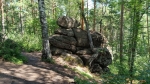 Без подписи