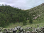 Без подписи