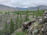 Без подписи