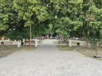 Без подписи