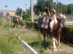 Без подписи