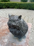Котик :-))