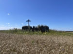 Без подписи
