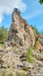 Без подписи