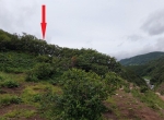 тайник здесь