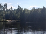 Без подписи