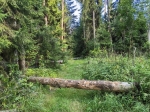 Без подписи