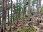 Без подписи