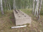 Без подписи