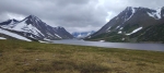 Без подписи