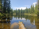 Без подписи