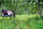 Без подписи