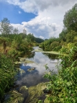 Река Камышенка