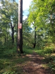 Без подписи