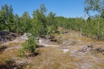 Без подписи