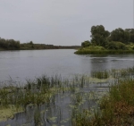 Без подписи