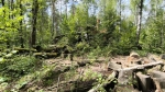 Без подписи