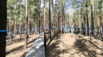 Без подписи