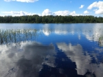 Без подписи
