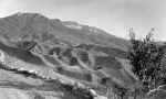 Вид на террасы и аул Чох с северной стороны, 1933 год. Фото: У. О. Филд
