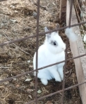 Без подписи