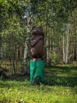 Без подписи