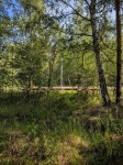 Без подписи
