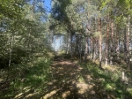 Без подписи